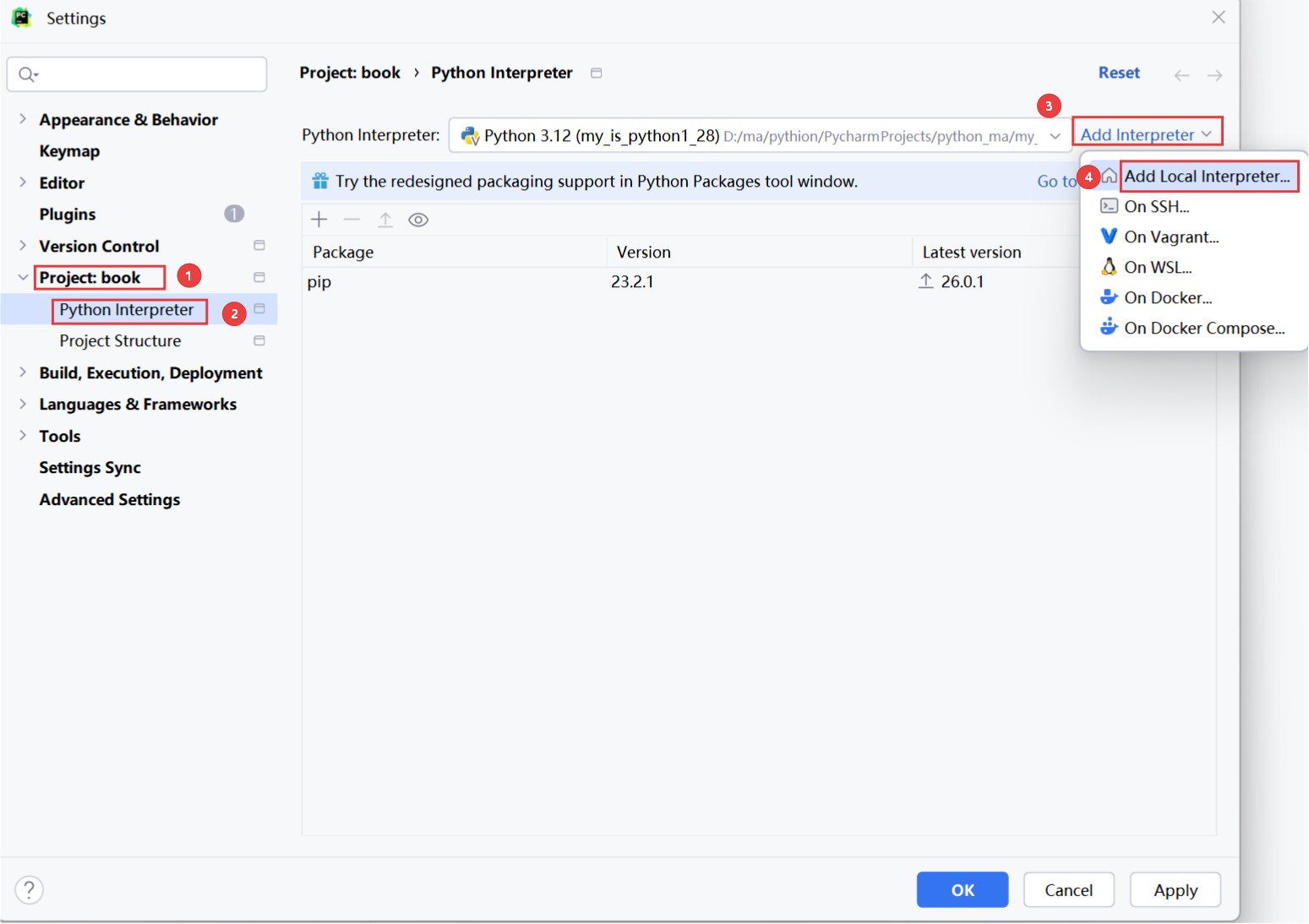python-pycharm-6-ollama
